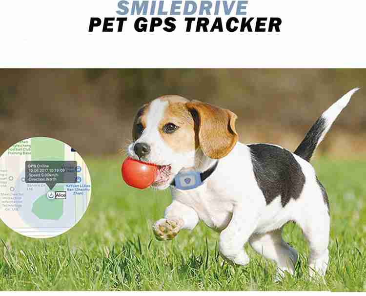 Gprs for dogs top