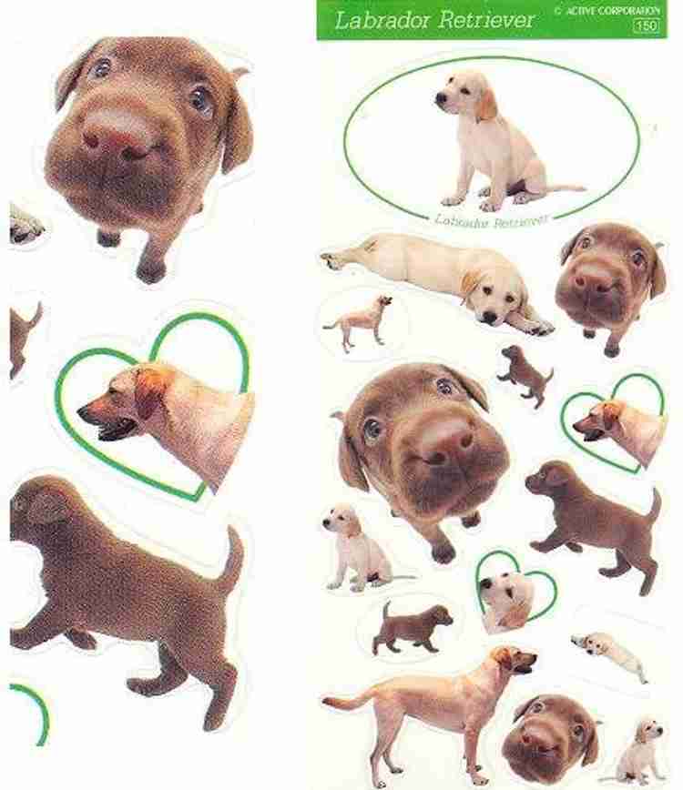 STICKER Labrador Retriever Dog Seal Collection Made In Japan Labrador Retriever Dog Seal Collection Made In Japan shop for STICKER products in India. Flipkart