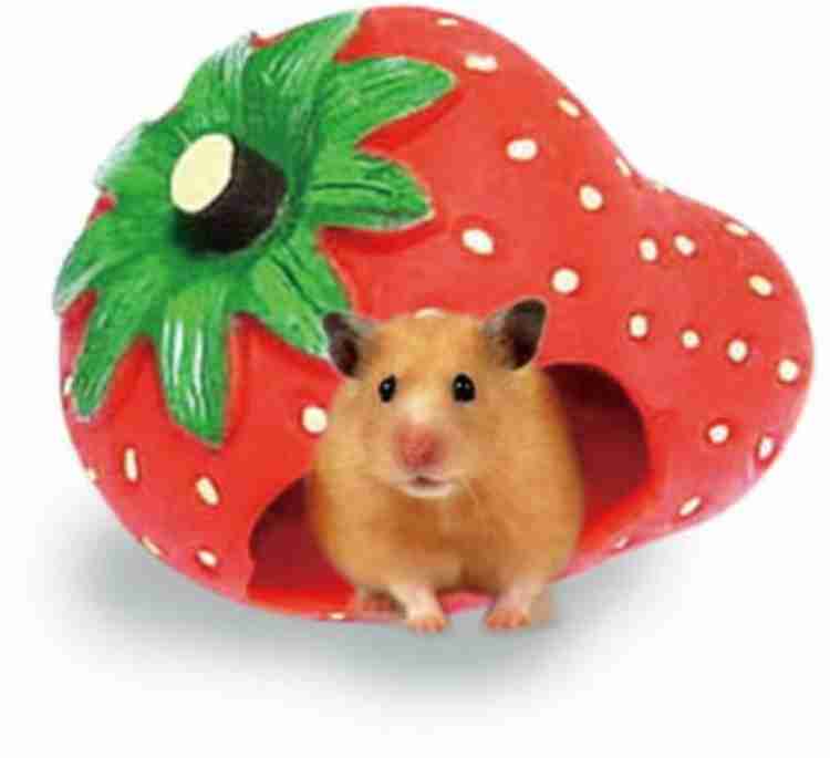 Sage Square Strawberry Hide House cum Hammock for Hamster