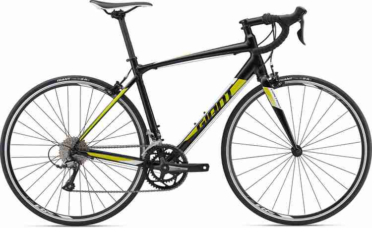 Giant contend 3 india discount