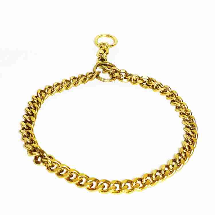 Brass dog chain online