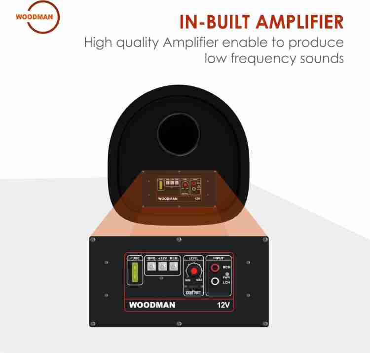 Woofer with best sale inbuilt amplifier