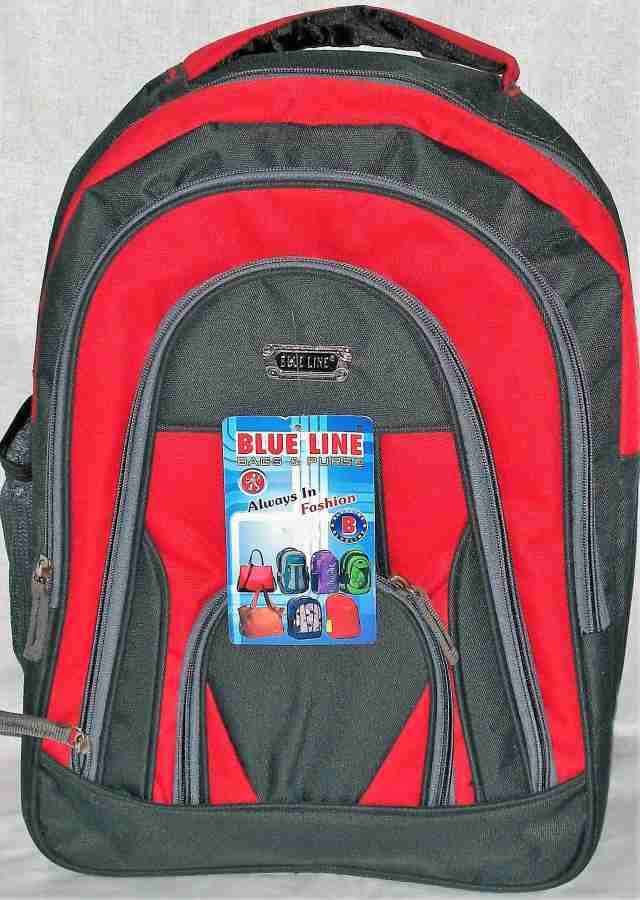 Flipkart goodlife bags blueline sbbluelinered35 Waterproof Backpack Backpack