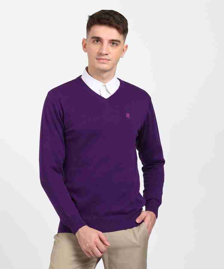Men's purple v neck sweater outlet