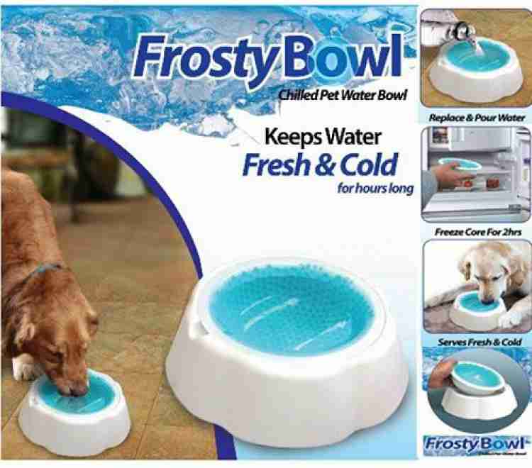 Cooling pet clearance bowl