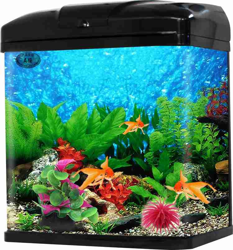 Jainsons aquarium hot sale