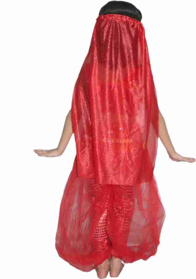 Arabian girl fancy dress store