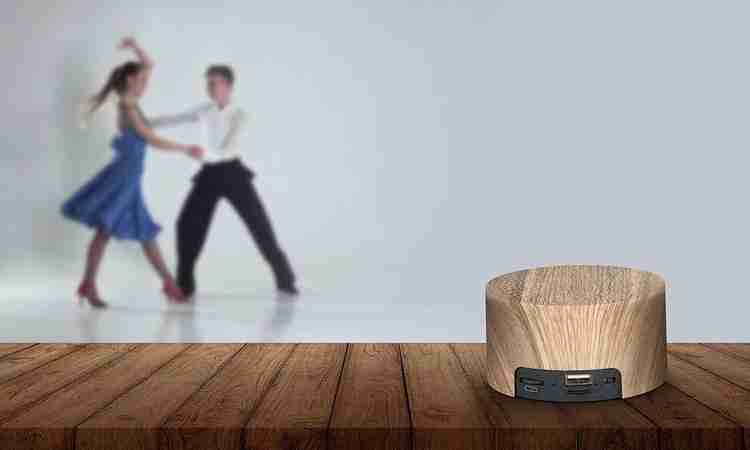 Buy xech Wooden Brown Wireless Portable Speaker with mic Pen Drive