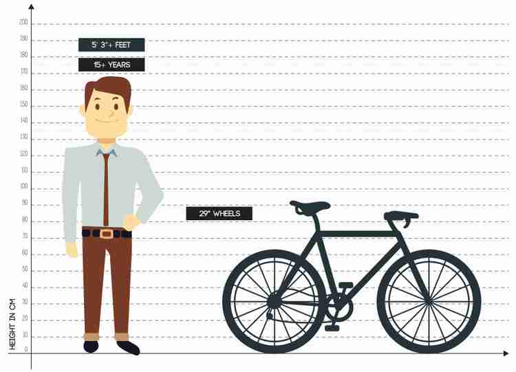 Roadeo blackburn cycle store price