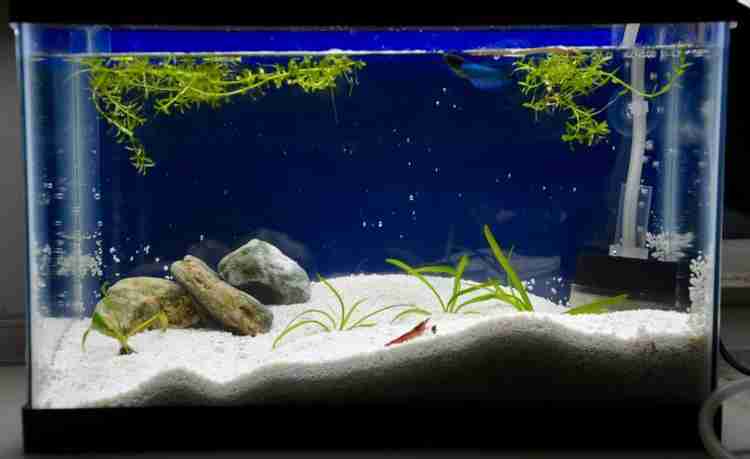 Freshwater aquarium 2025 sand for sale