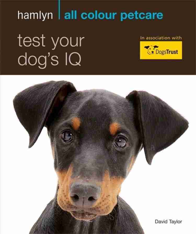 Flipkart dog hot sale price