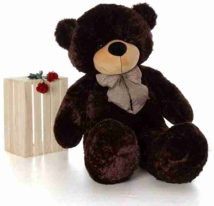 Black color top teddy bear