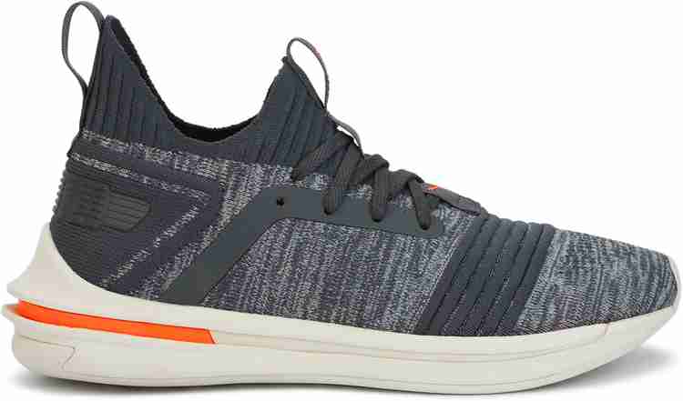 Puma ignite store original