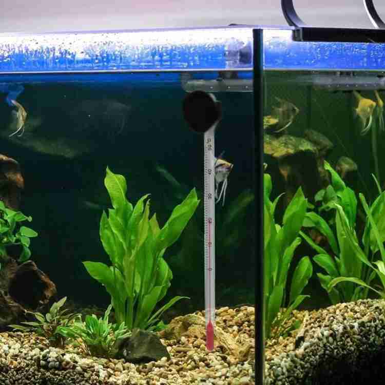 MASHKI AQUARIUM KIT WITH AIR MOTOR THERMOMETER FISH FOOD FISHING NET WITH AIR PIPE STONE Aquarium Tool Price in India Buy MASHKI AQUARIUM KIT WITH AIR MOTOR THERMOMETER FISH FOOD FISHING NET WITH