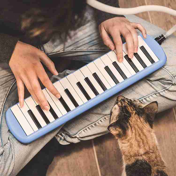 Techtest Melodica 37 Keys Melodica Keyboard with Mouthpiece Tube