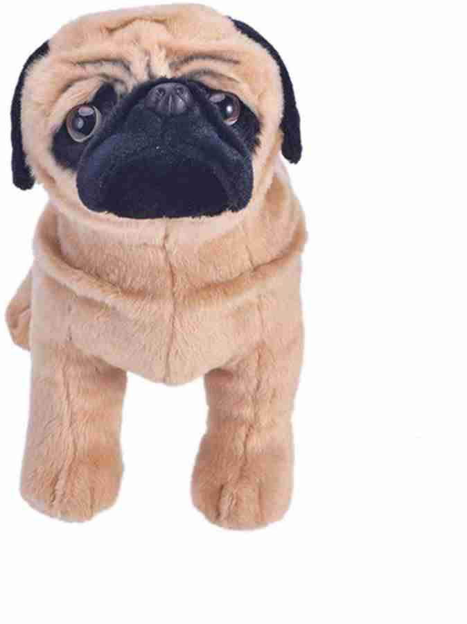 Sequin 2024 pug teddy