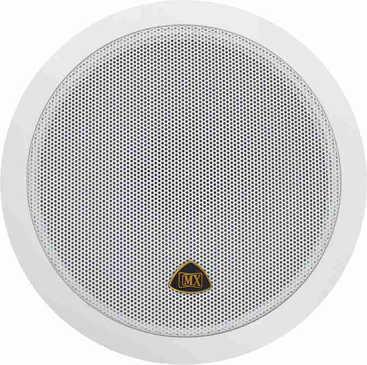 False ceiling cheap sound system