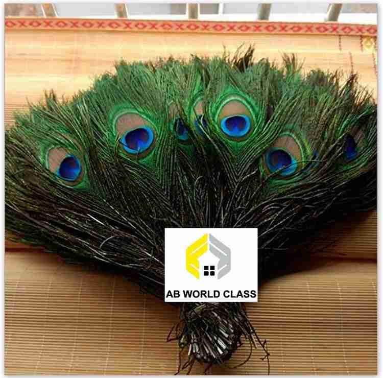 Feathers for sale discount