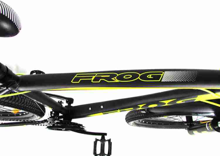 Frog vortex cycle 2025