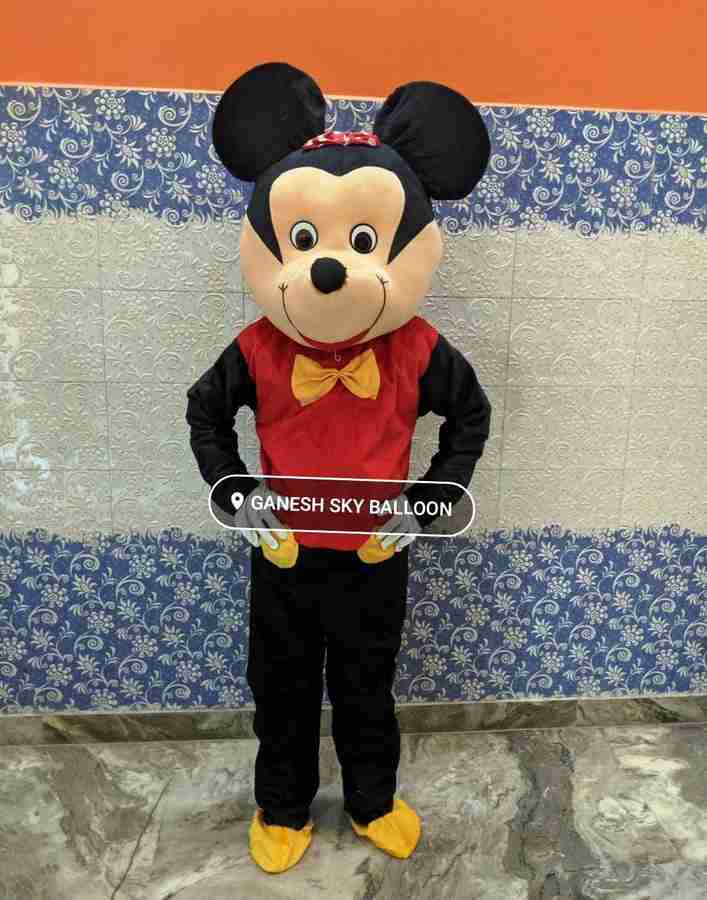 Cartoon best sale character dress
