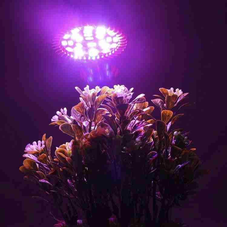 Fluortronix sales grow lights