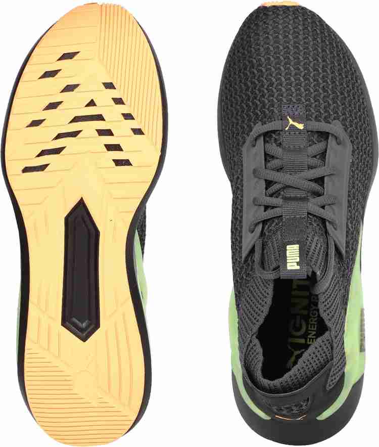 Puma rogue daylight shop