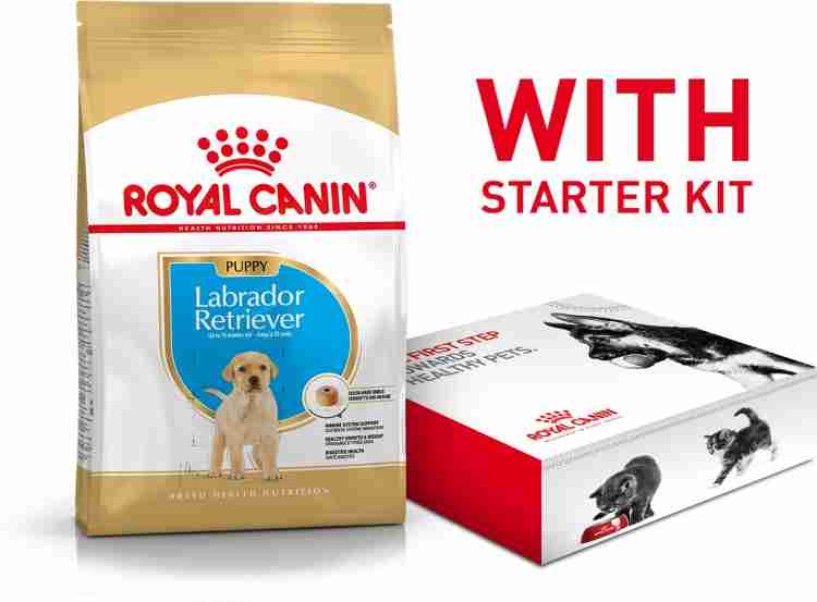 Starter food store for labrador puppy