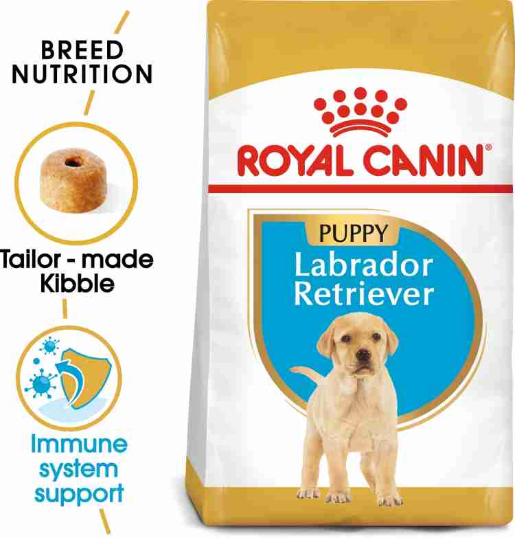 Starter food hot sale for labrador puppy