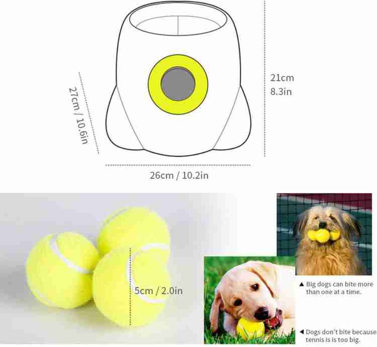 Dog best sale throwing machine