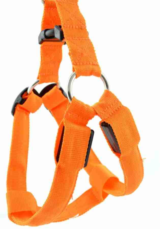 Futaba FUB2485PET Dog Reflective and LED Harness Price in India 