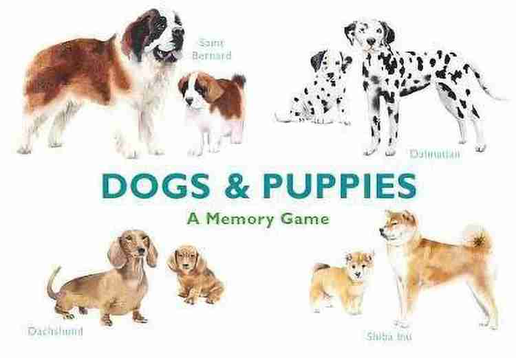 Dogs for hotsell sale in flipkart