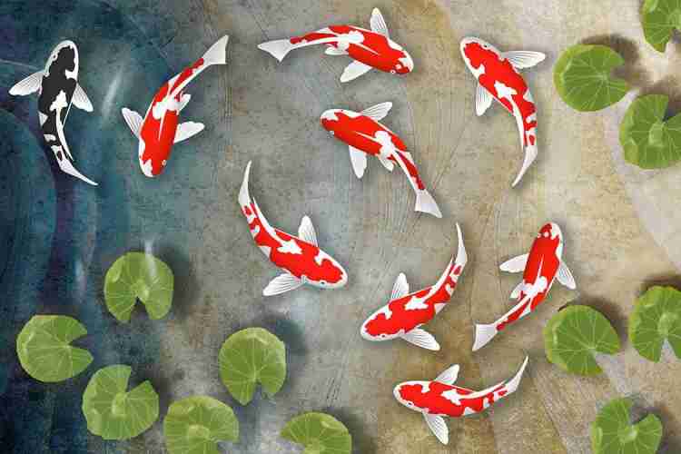 Art Factory Koi Fish Painting on Board Acrylic 24 inch x 36 inch
