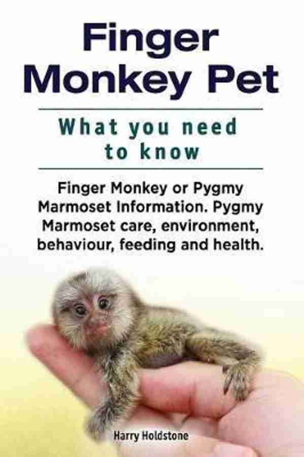 Finger Monkey Pet. WHAT YOU NEED TO KNOW. Finger Monkey or Pygmy