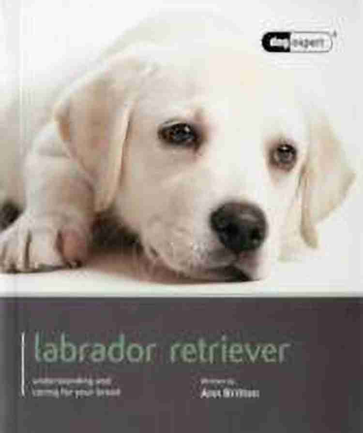 Labour shop dog rate