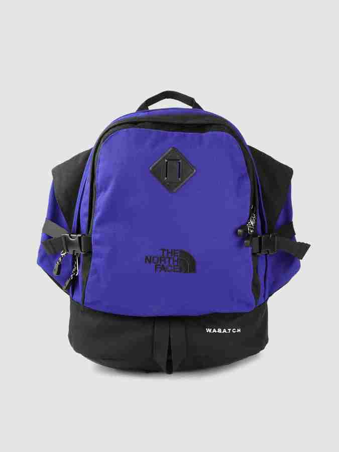 THE NORTH FACE Unisex WASATCH Reissue OS 31 L Backpack Blue