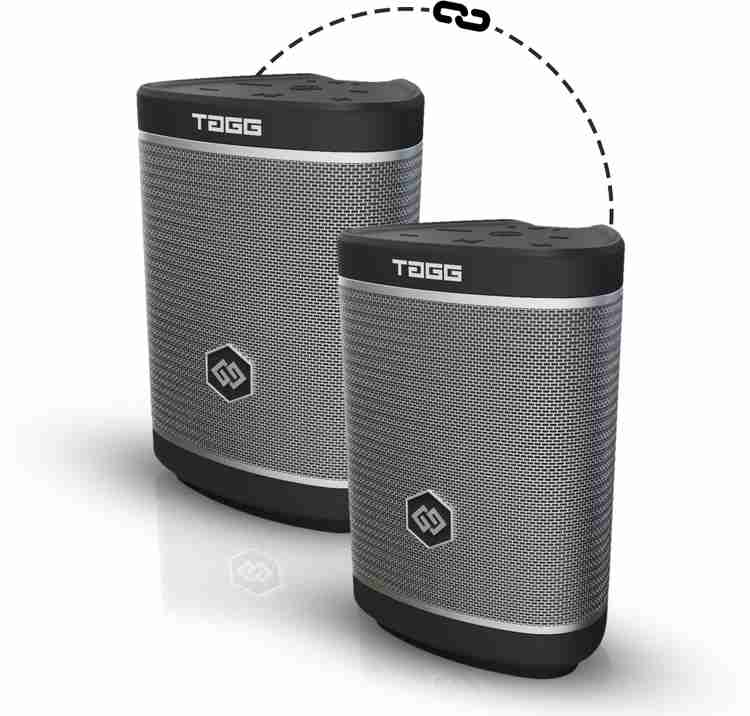 Buy TAGG Sonic Angle Max 30 W Bluetooth Speaker Online from