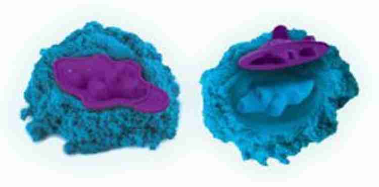Kinetic Sand Childrens Sandcastle Table Set for Kids 3 Childrens Sandcastle Table Set for Kids 3 shop for Kinetic Sand products in India. Flipkart