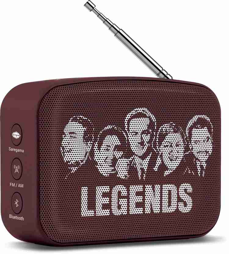 Saregama carvaan mini flipkart shop