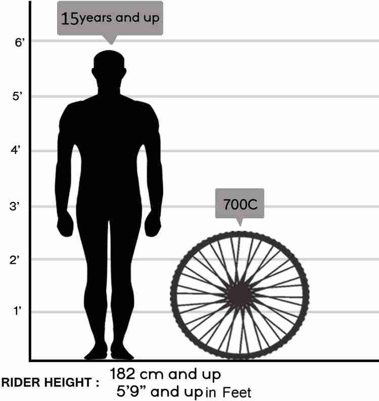 GIANT Roam 3 Disc 700x38C Acera Bike For Adults Black Green Medium