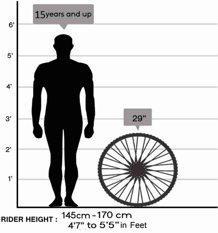 Frog cycle 29 inch online