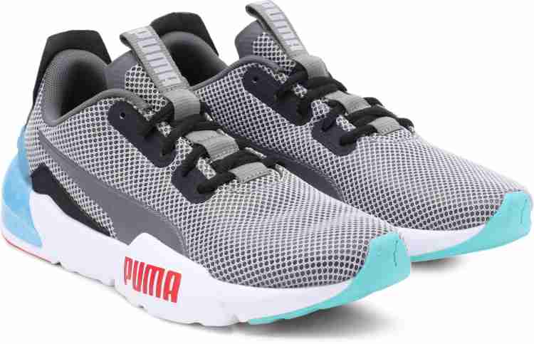 Puma 2024 phase cell