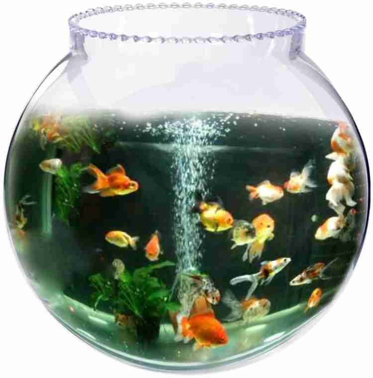 SAVORADE Glass Fish Tank for Small Betta Fish & Plants tank_14i(14 INCH)  Round Ends Aquarium Tank Price in India - Buy SAVORADE Glass Fish Tank for Small  Betta Fish & Plants tank_14i(14