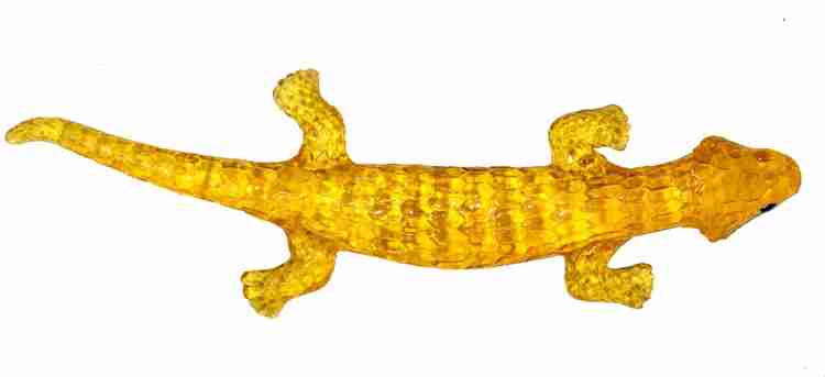 Jelly lizard sale