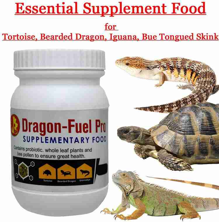 Iguana supplements shop