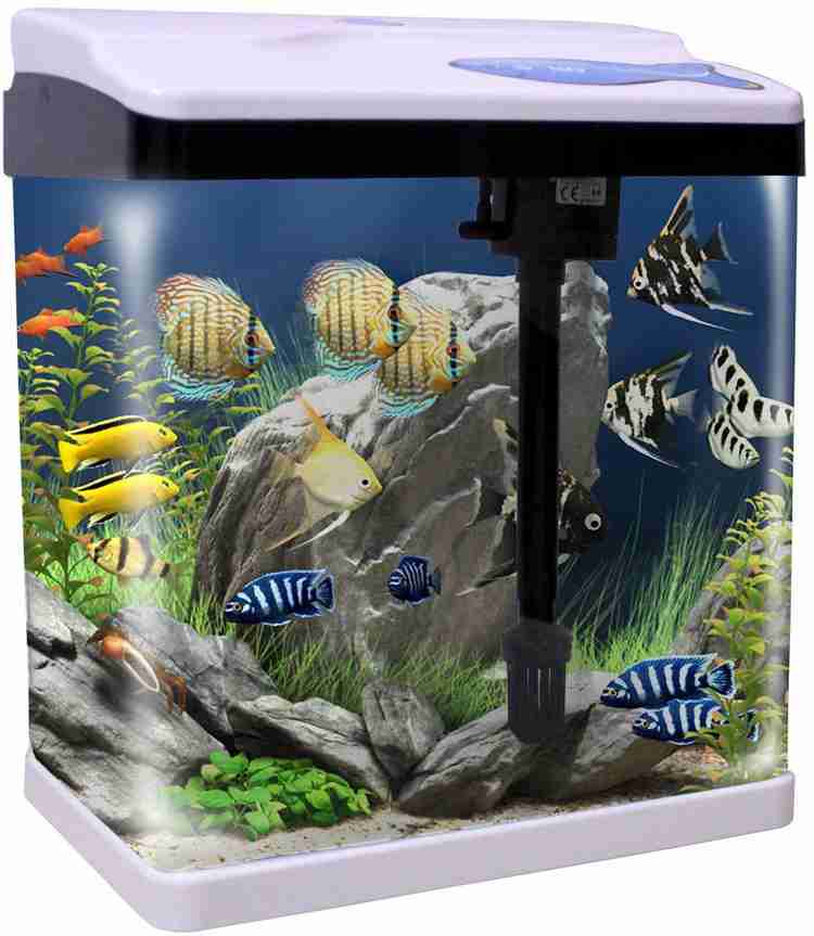 Fish tank best sale price flipkart