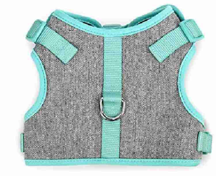 Martha Stewart Dog Show Harness Price in India Buy Martha Stewart Dog Show Harness online at Flipkart