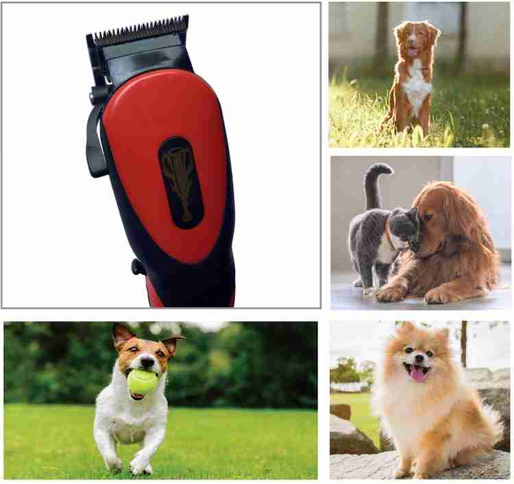 Qirui pet clipper shop