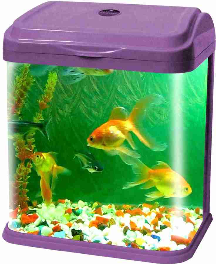 Jainsons Pet Products RS 230EL PURPLE COMBO Rectangle Aquarium Tank Price in India Buy Jainsons Pet Products RS 230EL PURPLE COMBO Rectangle Aquarium Tank online at Flipkart