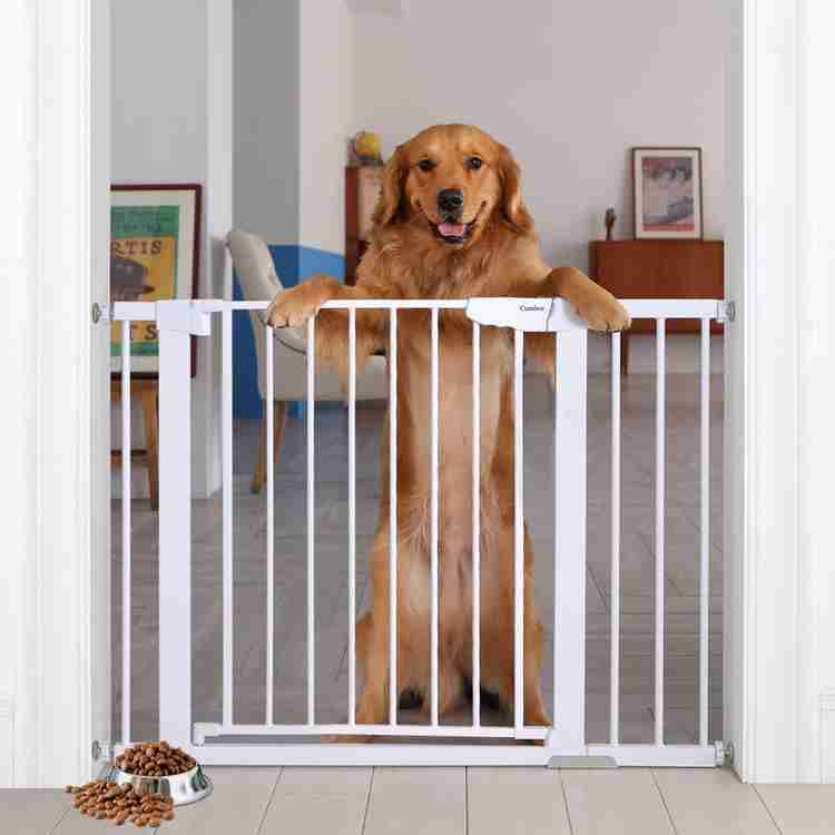 Emily dog pet barrier discount