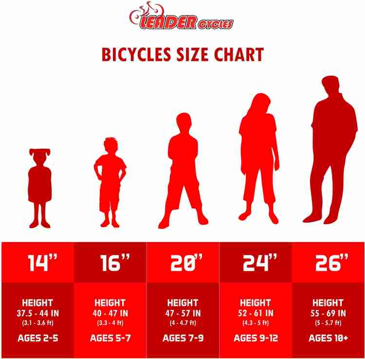 Leader xtreme cycle online